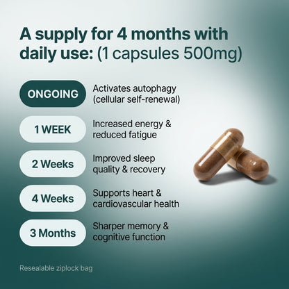 Spermidine 120 capsules 500mg